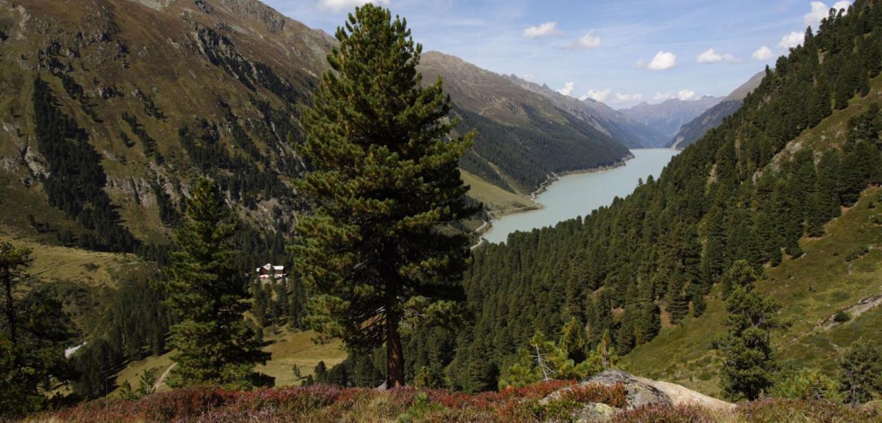 S Lois Schoenes Im Apartment Kaunertal